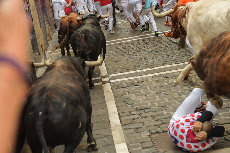 Y los toros le han evitado. (Idoia ZABALETA / FOKU) Y los toros le han evitado. (Idoia ZABALETA / FOKU)