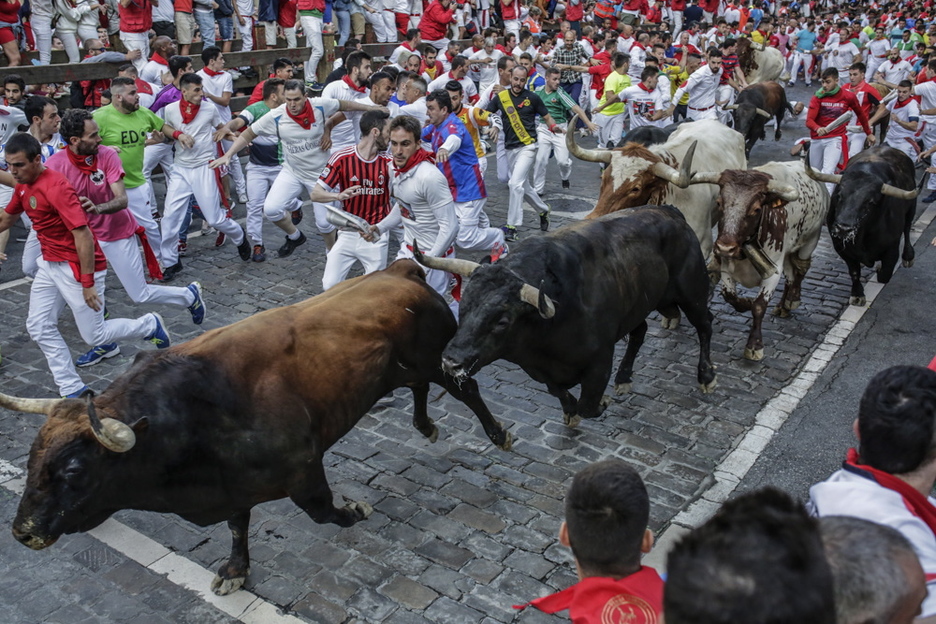 La manada, compacta. (Lander F. Arroyabe / FOKU) La manada, compacta. (Lander F. Arroyabe / FOKU)