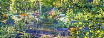 gara-2019-07-22-Noticia