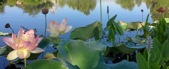 gara-2019-07-29-Noticia