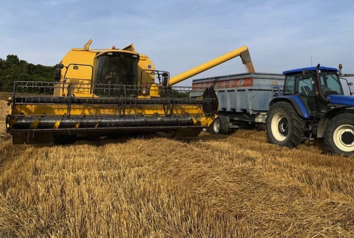 En Araba se han superado los 300 millones de toneladas de cereal por primera vez. (ERKIDE)