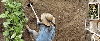 gara-2019-08-05-Noticia