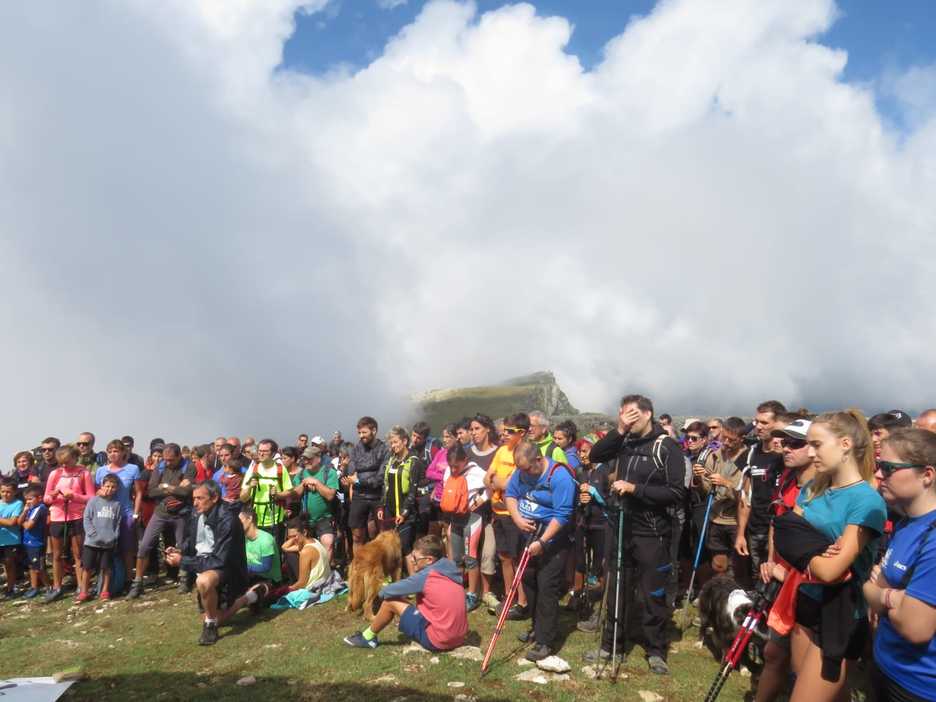 Lagun ugari, Beriaingo zelai zabaletan. (NAIZ)