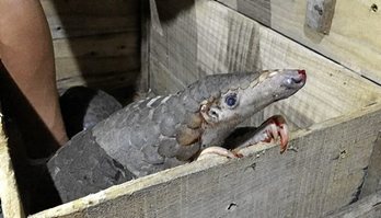 gara-2019-08-16-Opinión