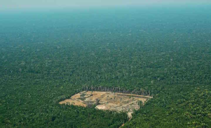Área deforestada en el este de la Amazonia brasileña (Carl DE SOUZA/AFP)