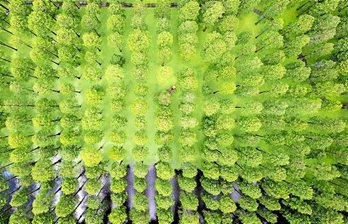 gara-2019-08-20-Reportaje