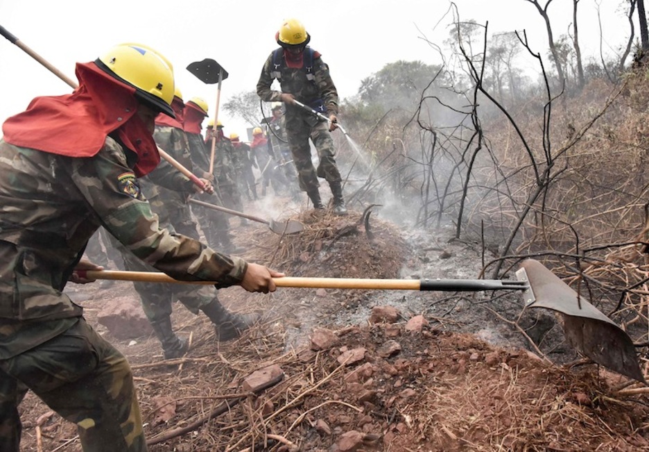 Los bomberos bolivianos se afanan en la selva. (Aizar RALDES | AFP)