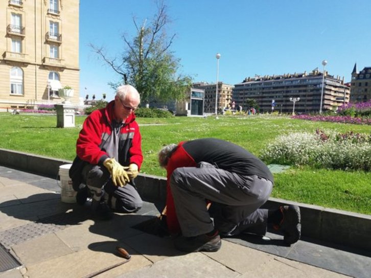 Trabajos de desratización en la plaza Santa Catalina de Donostia. (Donostiako Udala)