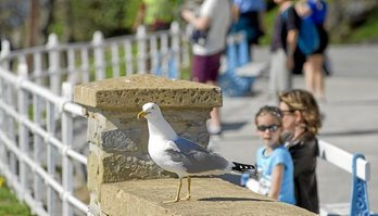 gara-2019-09-04-Noticia