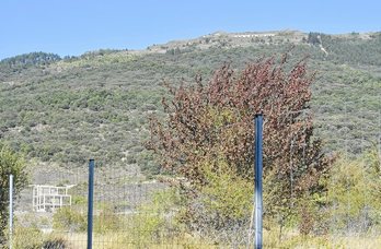 gara-2019-09-05-Crónica