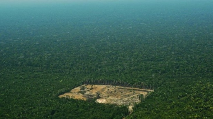Imagen de un área deforestada en la Amazonía brasileña. (AFP)