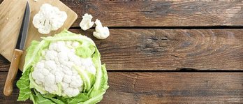 gara-2019-09-06-Noticia