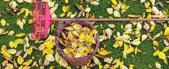 gara-2019-09-10-Noticia