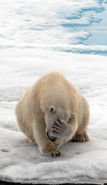 gara-2019-09-13-Noticia