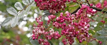 gara-2019-09-16-Noticia