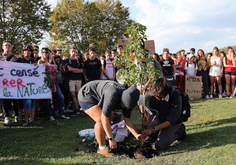 Les lycéens ont planté symboliquement un arbre sur l'esplanade Roland Barthes pour demander l'arrêt de la déforestation. © Bob EDME