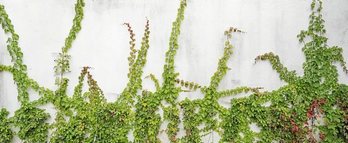 gara-2019-09-23-Noticia