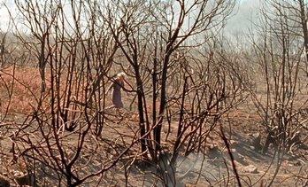 gara-2019-09-23-Noticia