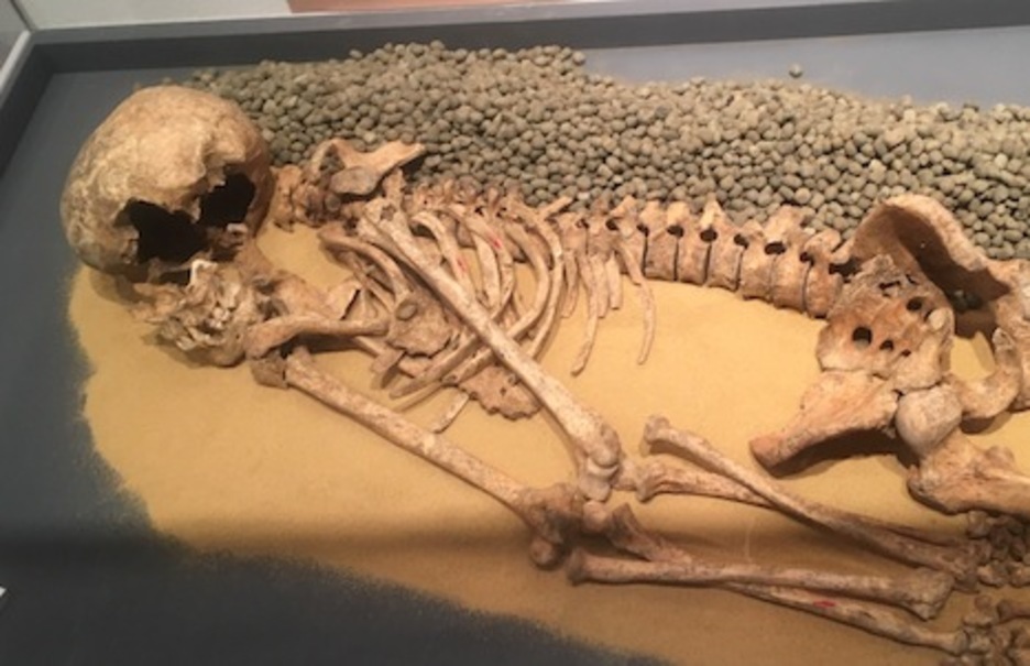 Esqueleto de un hombre beréber del siglo VIII enterrado en Iruñea con siete costillas fracturadas.