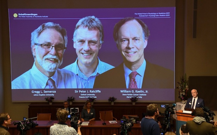 Un miembro de la Asamblea, Randall Johnson, anuncia el Nobel de Medicina mientras proyectan las fotos de los galardonados.(Jonathan NACKSTRAND / AFP)