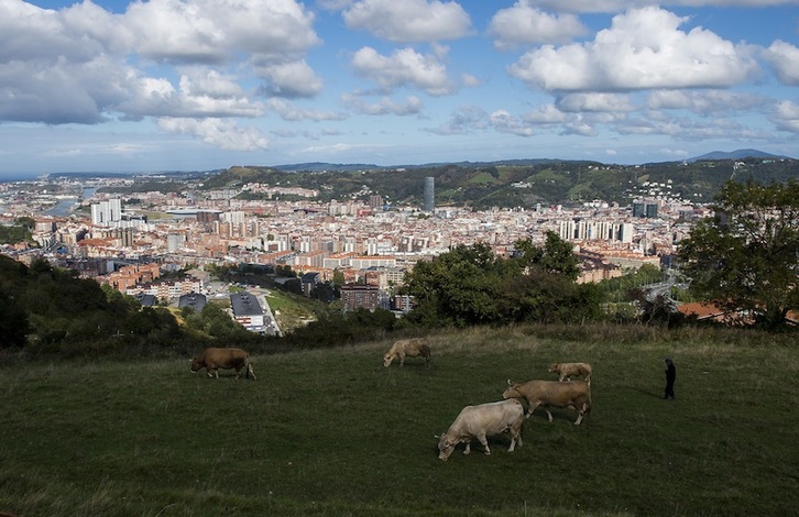 Vacas pastan en una campa en el entorno del Pagasarri. (Luis JAUREGIALTZO | FOKU)