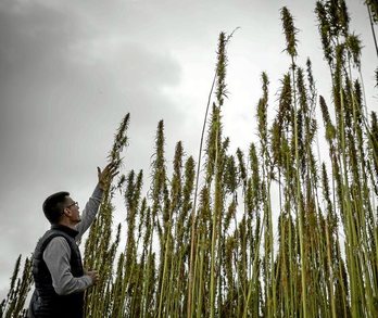 gara-2019-10-21-Reportaje