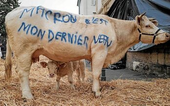 gara-2019-10-22-Noticia