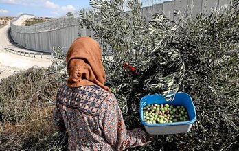 gara-2019-11-08-Opinión