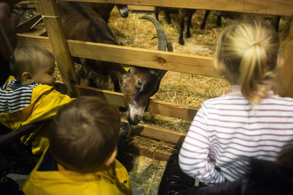 La ferme pédagogique avec ses chèvres, ses moutons, ses vaches et ses pottok a encore attiré les plus petits. © Guillaume Fauveau.