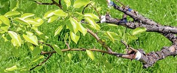 gara-2019-11-12-Noticia