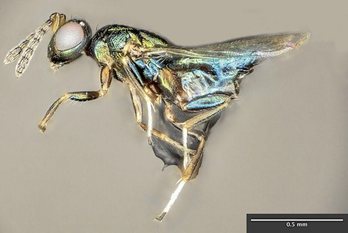 gara-2019-11-14-Reportaje