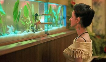 gara-2019-11-21-Noticia