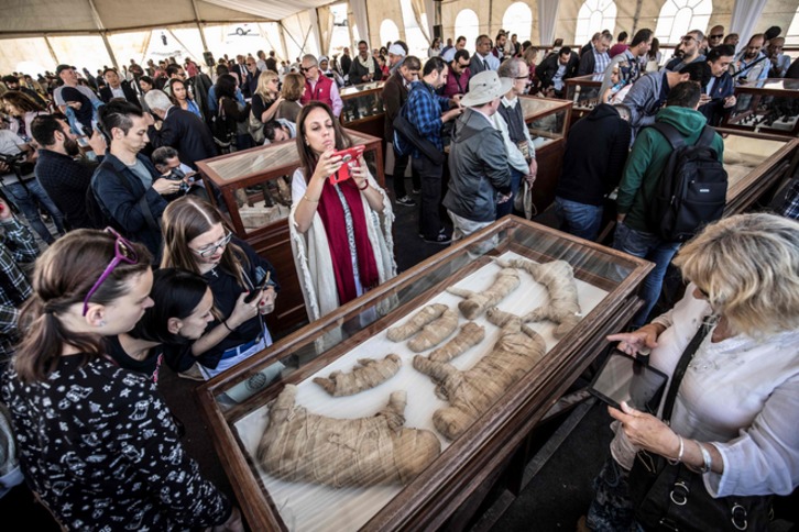 Las vitrinas que más atención atraen son la del león y la del escarabajo. (Khaled DESOUKI / AFP)