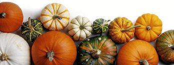 gara-2019-11-25-Noticia