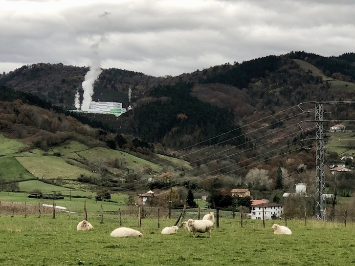 La incineradora de Zubieta, activada en la mañana de este jueves. (NAIZ)