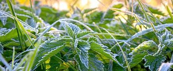 gara-2019-12-02-Noticia