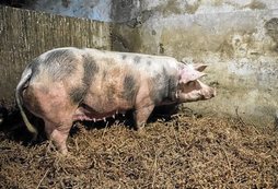 gara-2019-12-03-Noticia