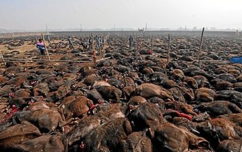 gara-2019-12-03-Noticia