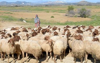 gara-2019-12-05-Noticia