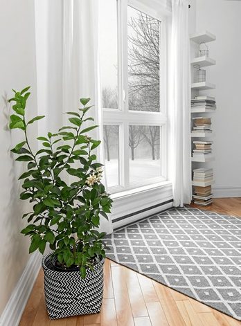 gara-2019-12-09-Noticia