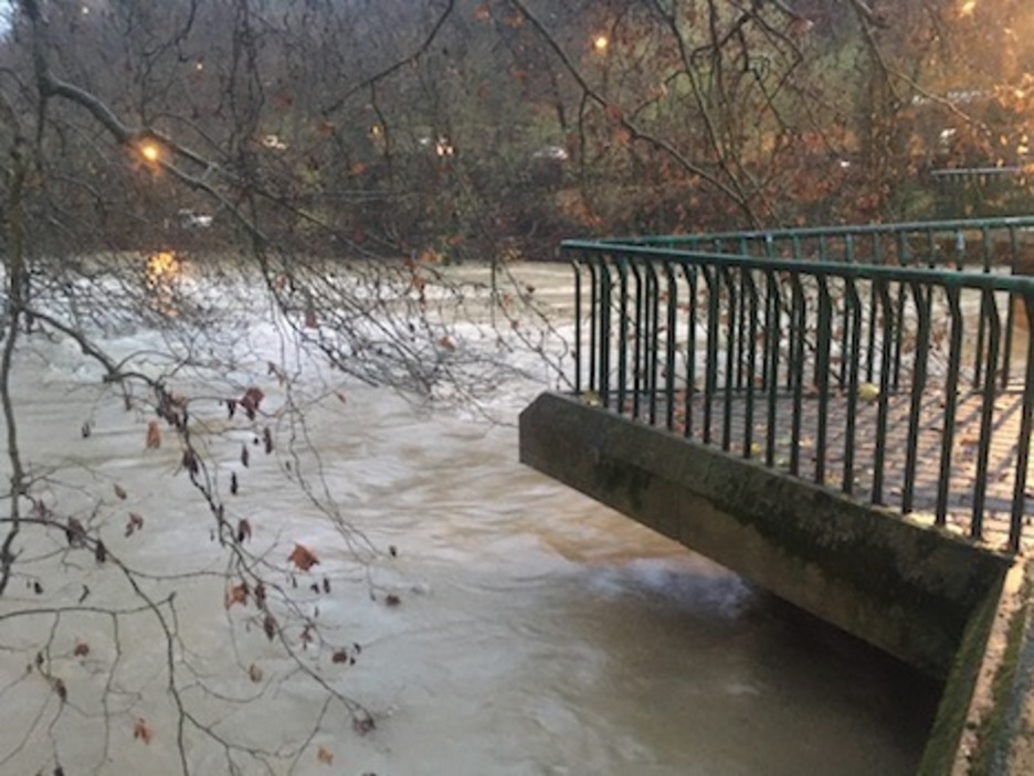 El río Arga, a punto de alcanzar el borde del puente de Curtidores.