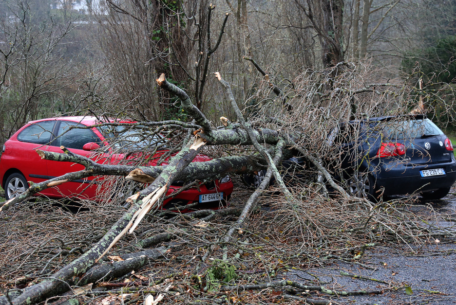 Les vents violents ont fait tomber des arbres sur des voitures à Ascain. © Bob EDME.