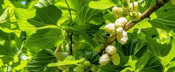 gara-2019-12-16-Noticia