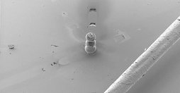 gara-2019-12-19-Noticia