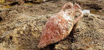 gara-2019-12-27-Noticia