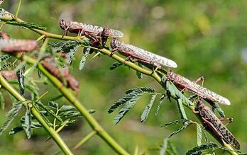 gara-2019-12-27-Opinión