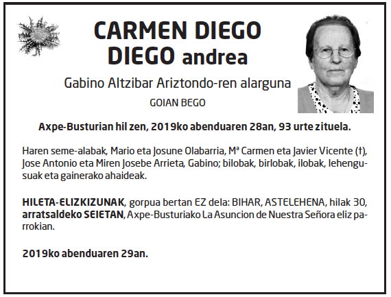 Carmen-diego-diego-1