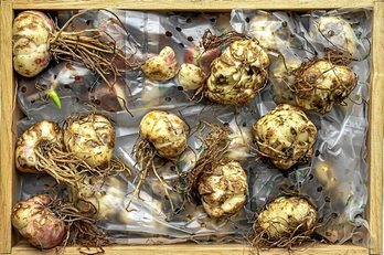 gara-2020-01-02-Noticia