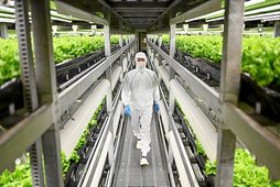 gara-2020-01-02-Noticia