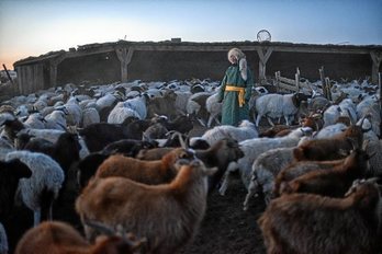 gara-2020-01-13-Reportaje